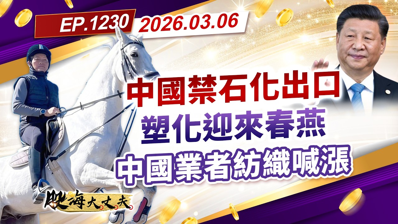 第1230集｜中國禁石化出口 塑化迎來春燕 中國業者紡織喊漲｜20260306｜陳建誠 分析師｜股海大丈夫