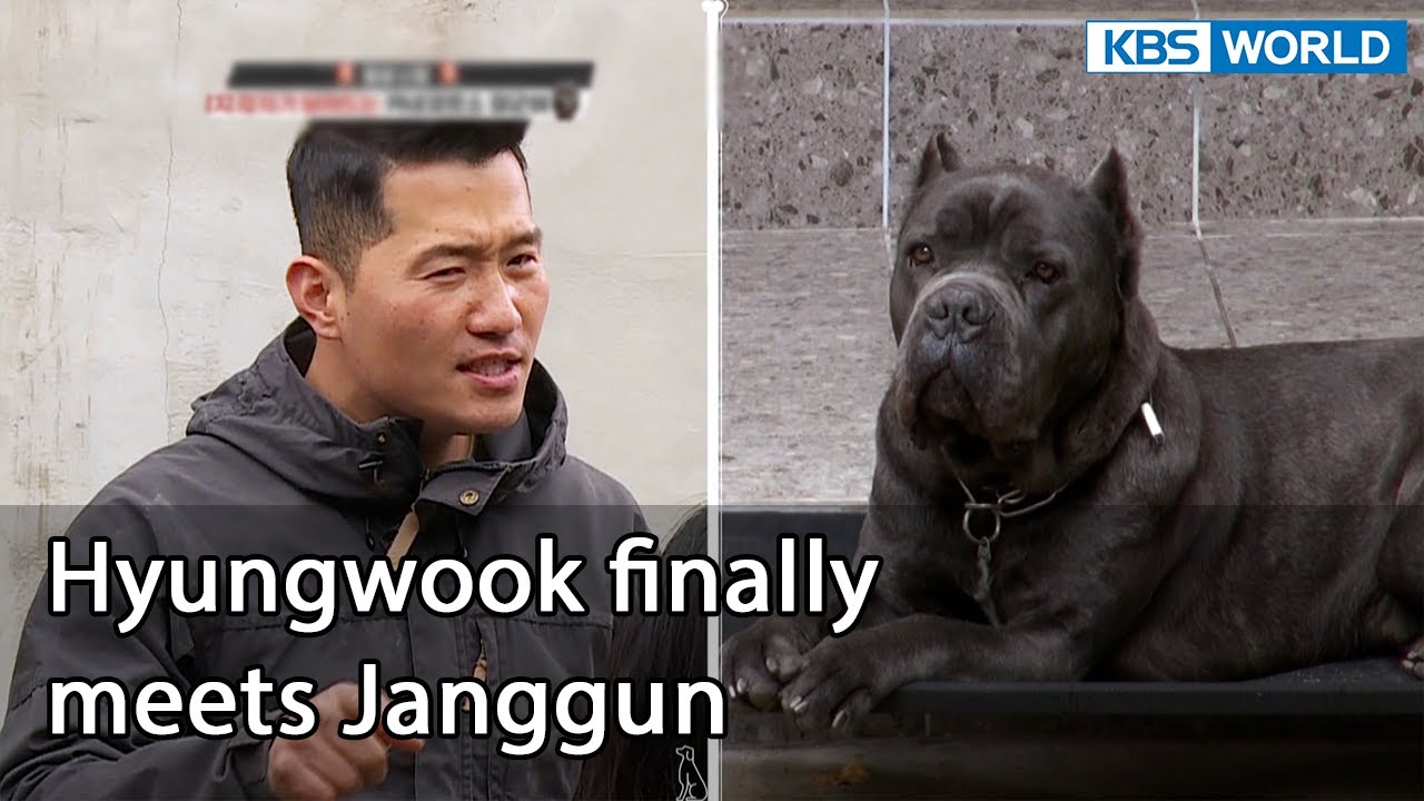 Hyungwook finally meets Janggun (Dogs are incredible EP.119-5) | KBS WORLD TV 220426