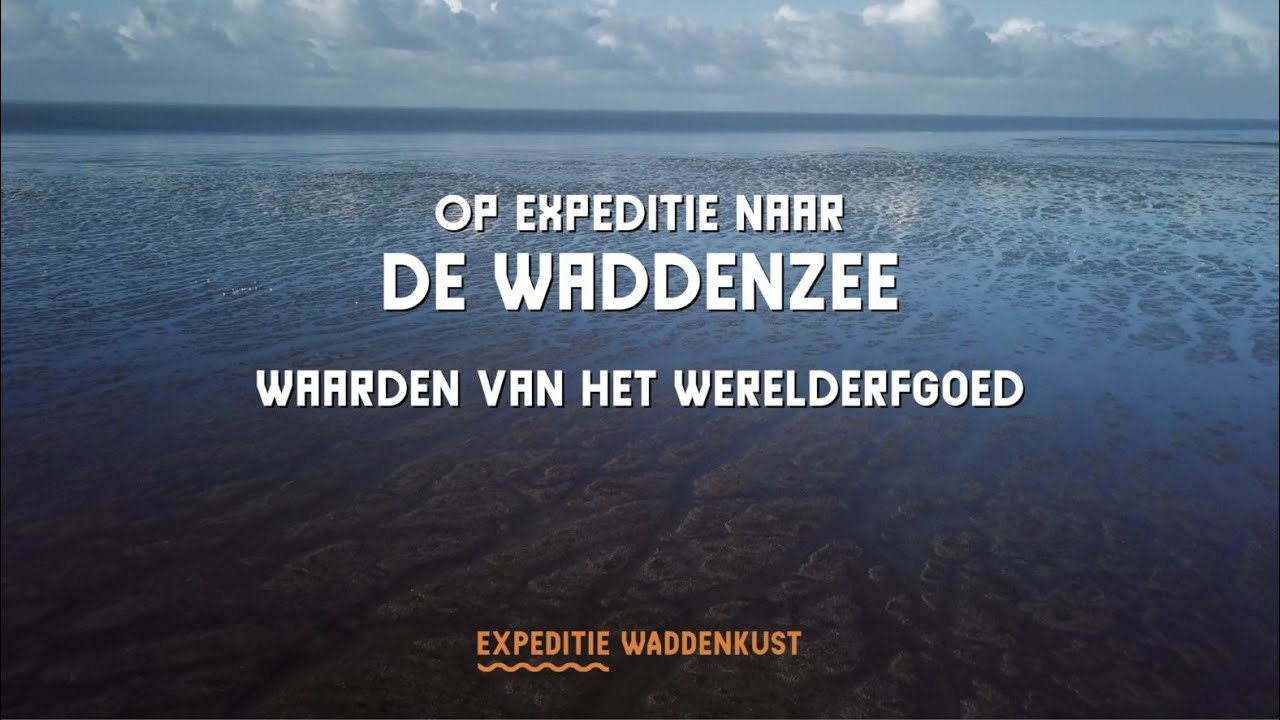 Expeditie Waddenkust - Waarden van het Werelderfgoed