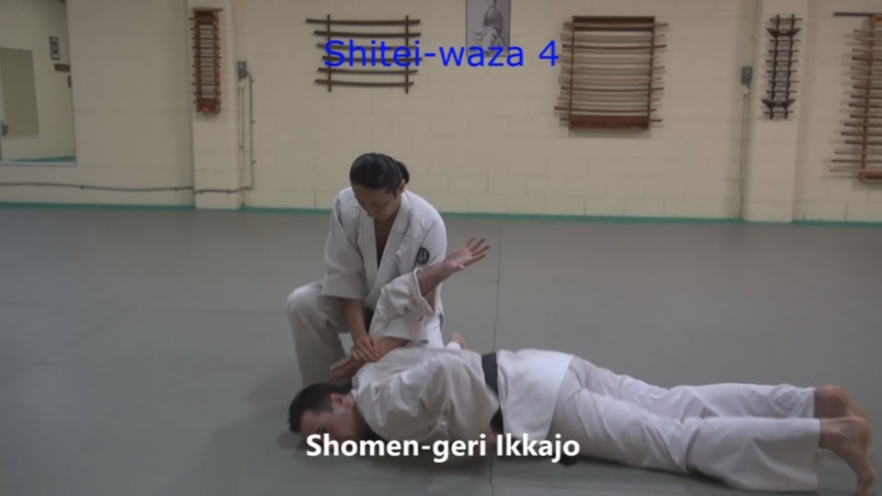 yudan step shitei waza 1~6/Fundamental techniques against various attacks