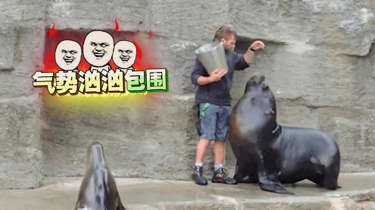 [Funny animal] Bold shoveling eunuch dares to murder the master 36
