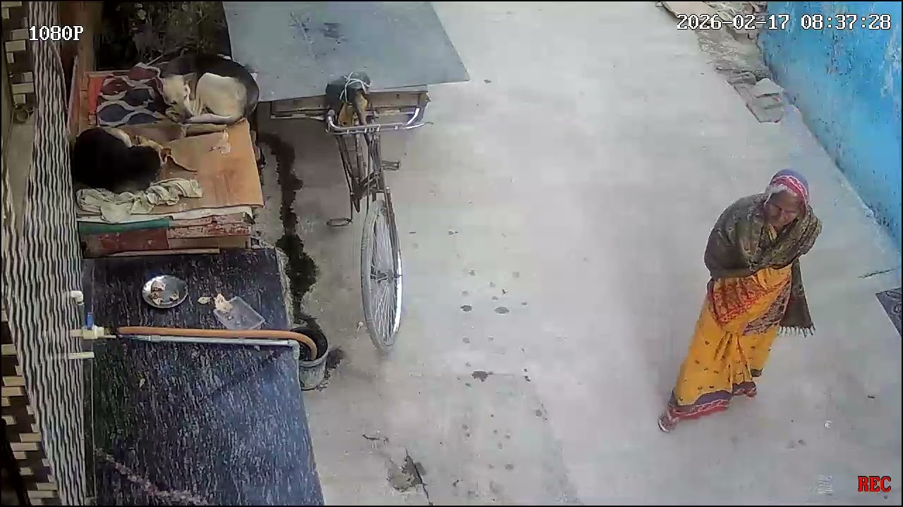 Kaluuuu