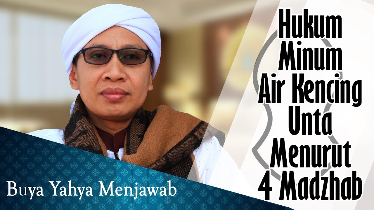 Hukum Minum Air Kencing Unta Menurut 4 Mazhab - Buya Yahya Menjawab