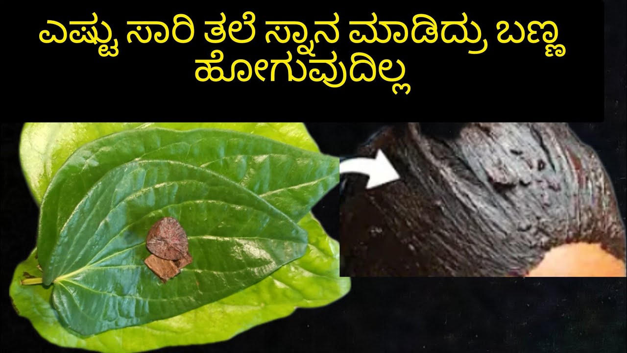 👉 ಯಾವುದೇ ಹೇರ್ ಕಲರ್ ಹೇರ್ ಡೈ ಬೇಡ 💯 ನ್ಯಾಚುರಲ್ ಕಲರ್