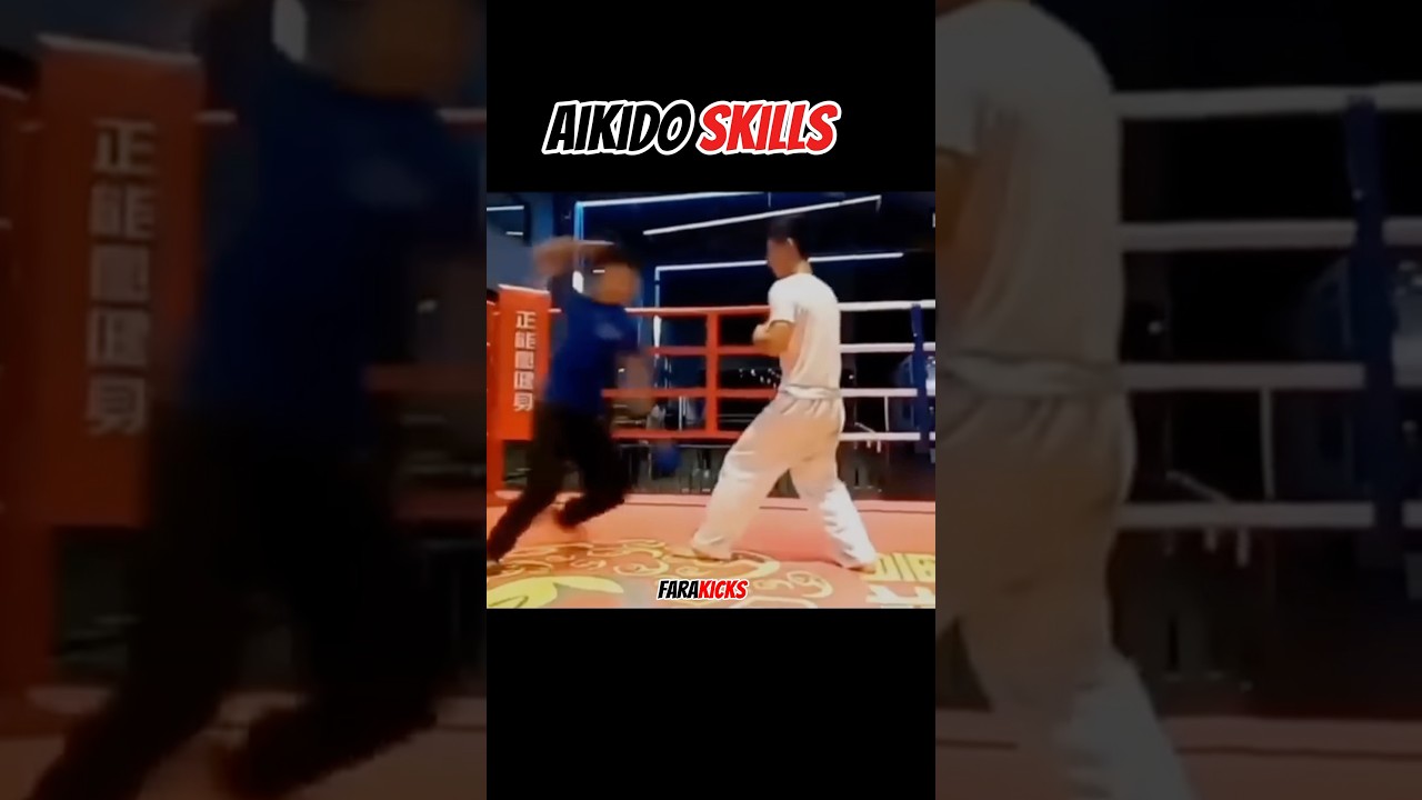 Aikido Skills 🥋 #aikido #mma #martialarts