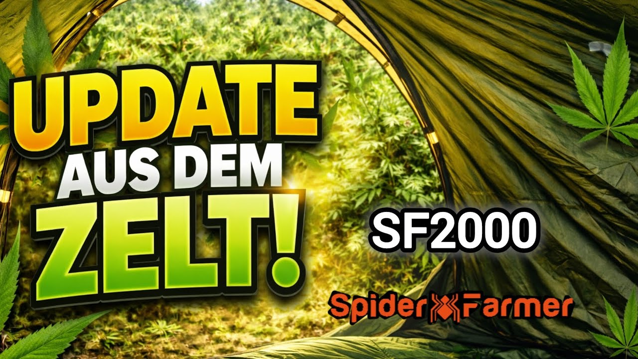 Update Grow & SF2000 SpiderFarmer 🕷 | #feed #video 