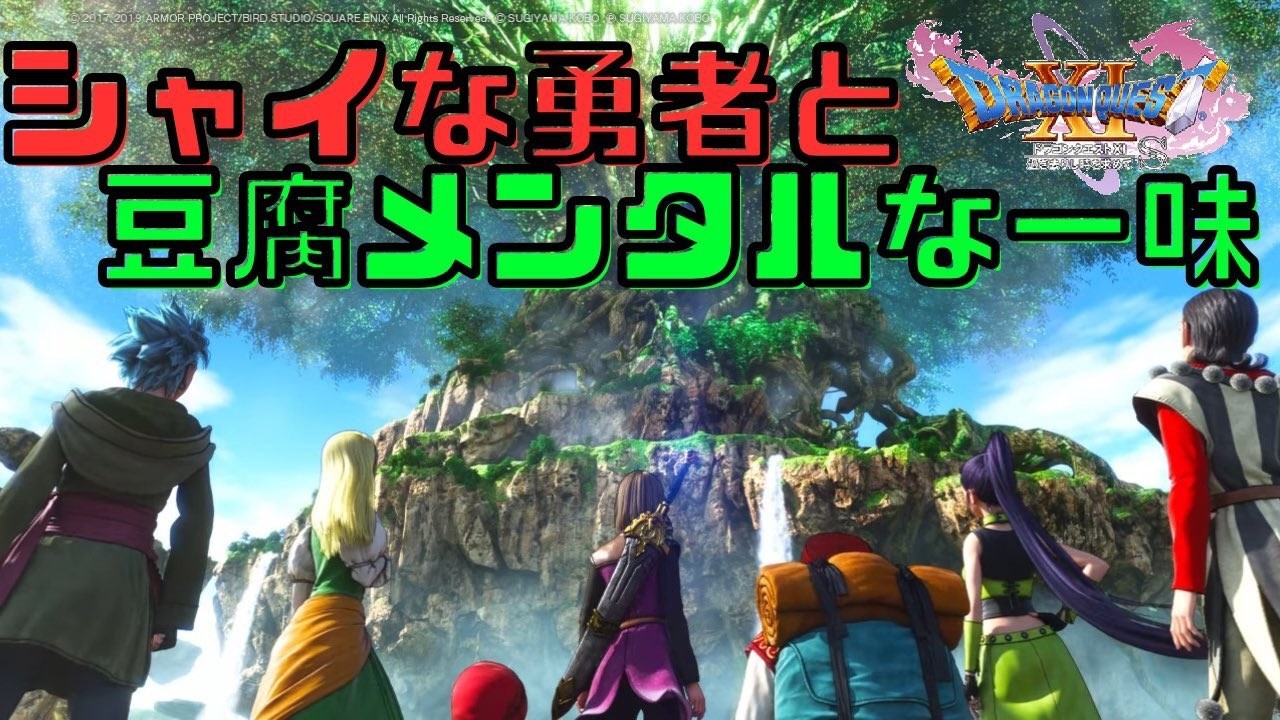 【恥ずか縛り他】シャイな勇者と豆腐メンタルな一味　２【ドラクエXIS】