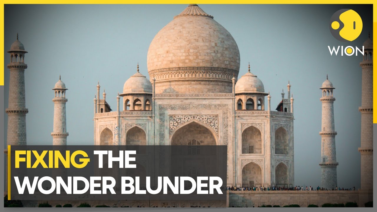 Taj Mahal turns green due to insect droppings | WION Climate Tracker | English News