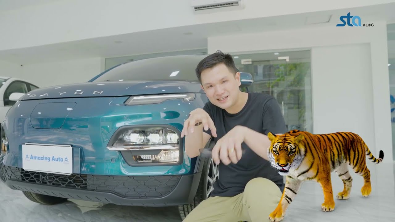 Amazing Auto မှာ ကျား သွားကြည့်ကြမလား
