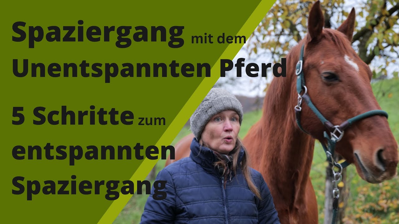 Entspannt Spazierengehen in 5 Schritten I Angst am und auf dem Pferd