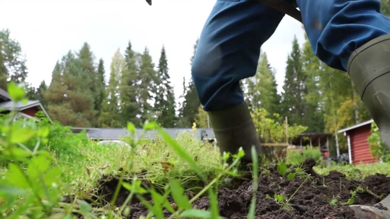 Viitasaari - Yrittämistä ja kotoisaa asumista