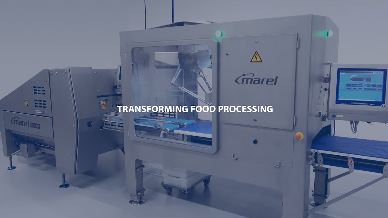 RoboOptimizer with I-Cut 122 for QSR strip production