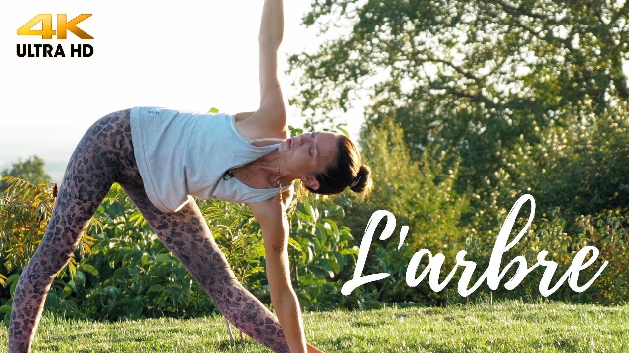 Yoga : La posture de l'arbre pour l'équilibre | Sadhana Foundation