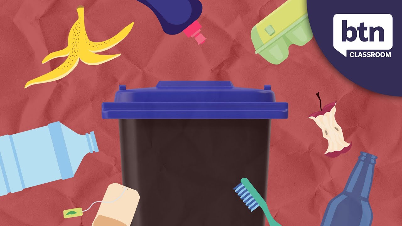 Bin Audit - Behind the News
