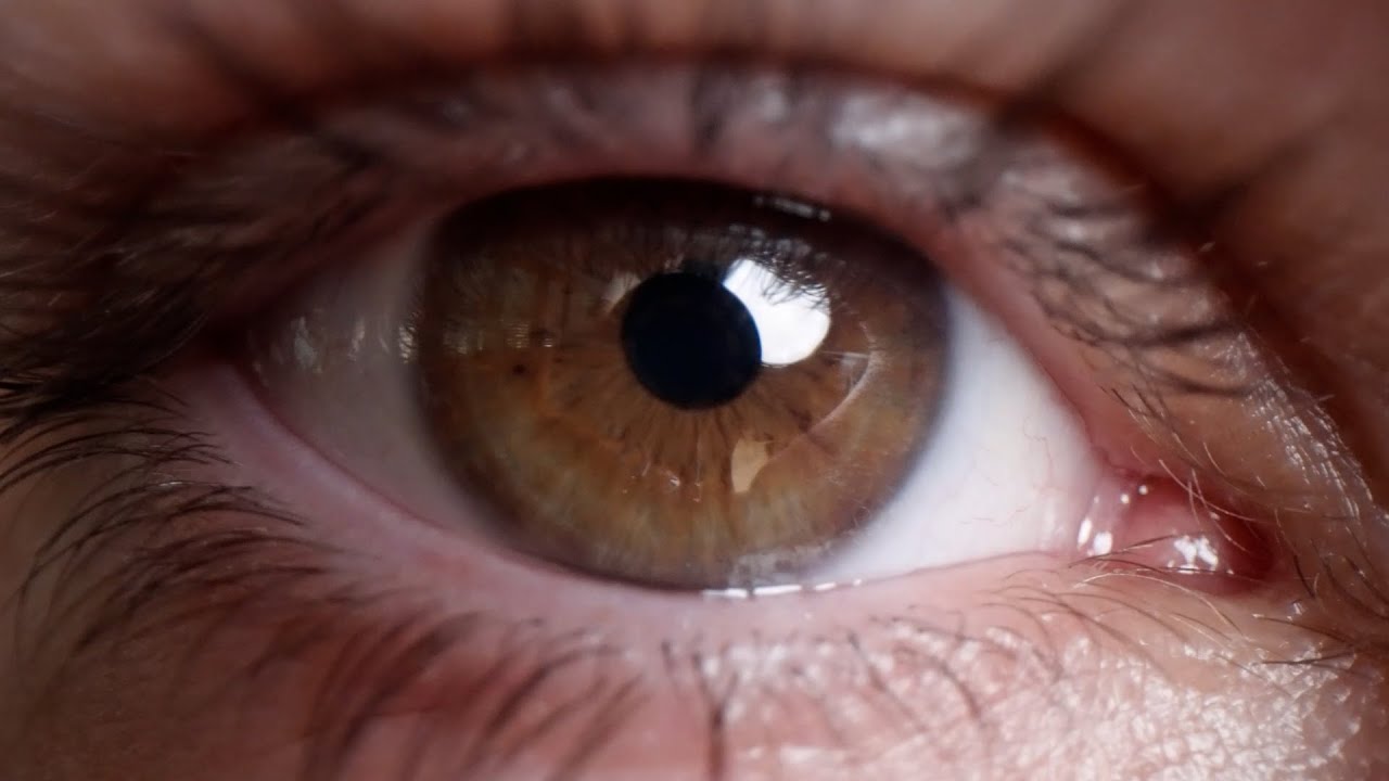 Showreel von zip films