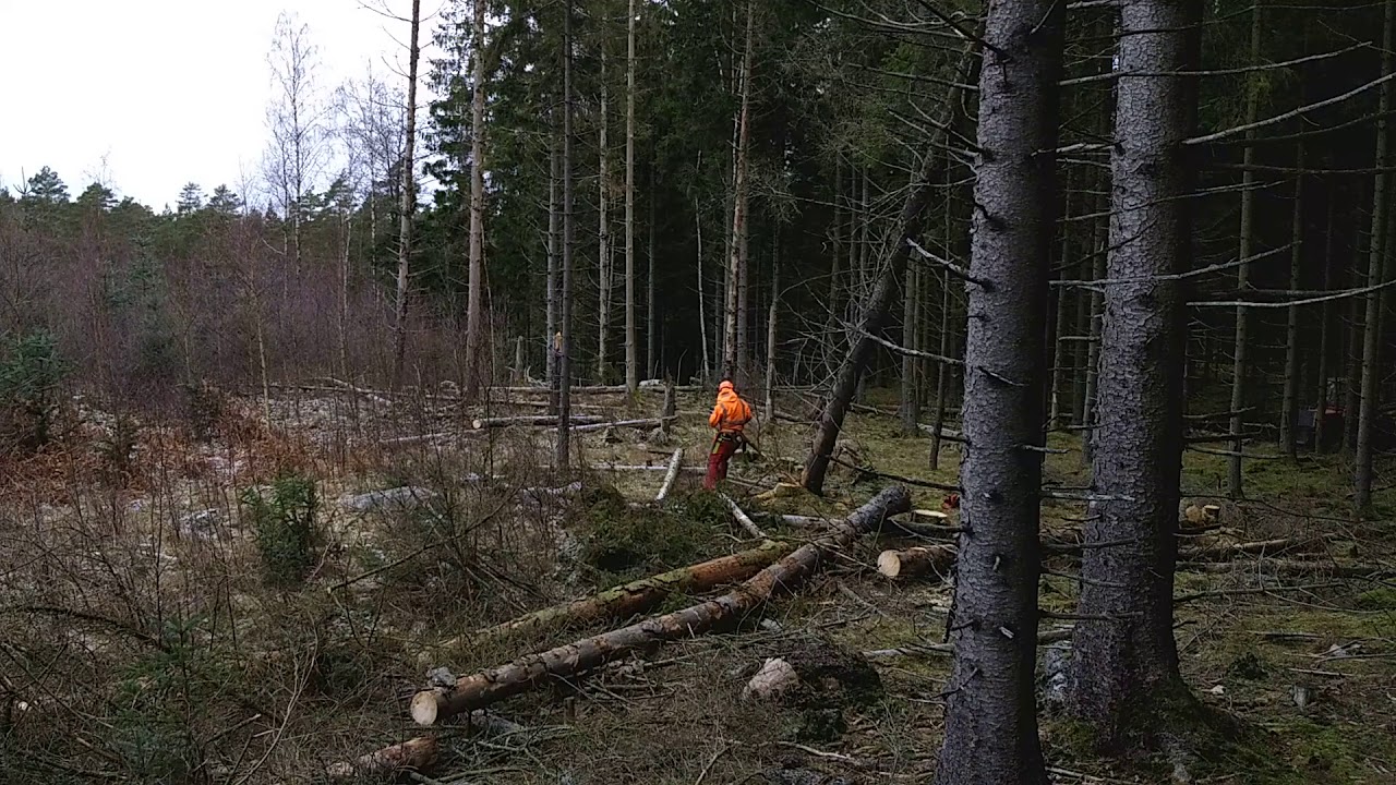 Fastfällning och lastning