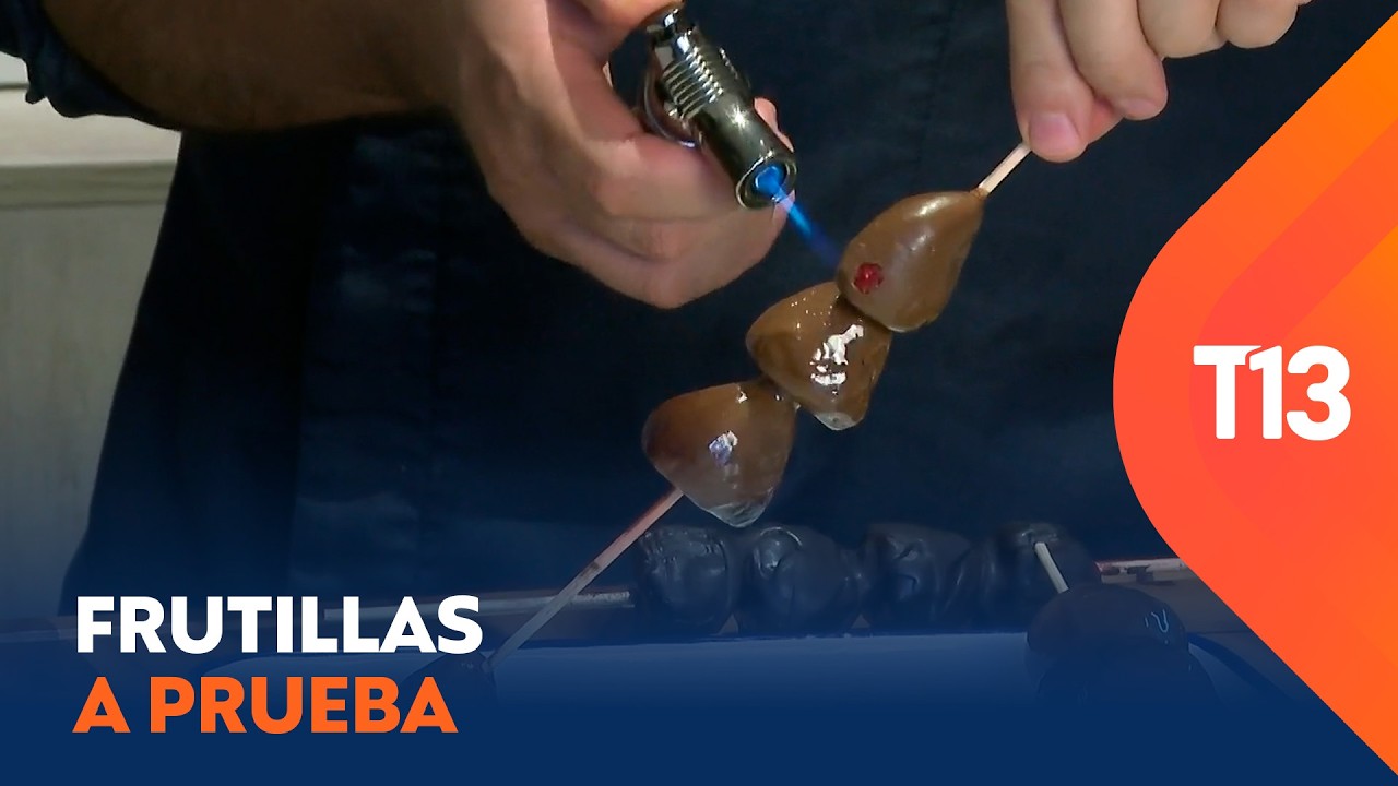 Revelan cuál sería el producto con el que bañarían a las frutillas con ‘chocolate’