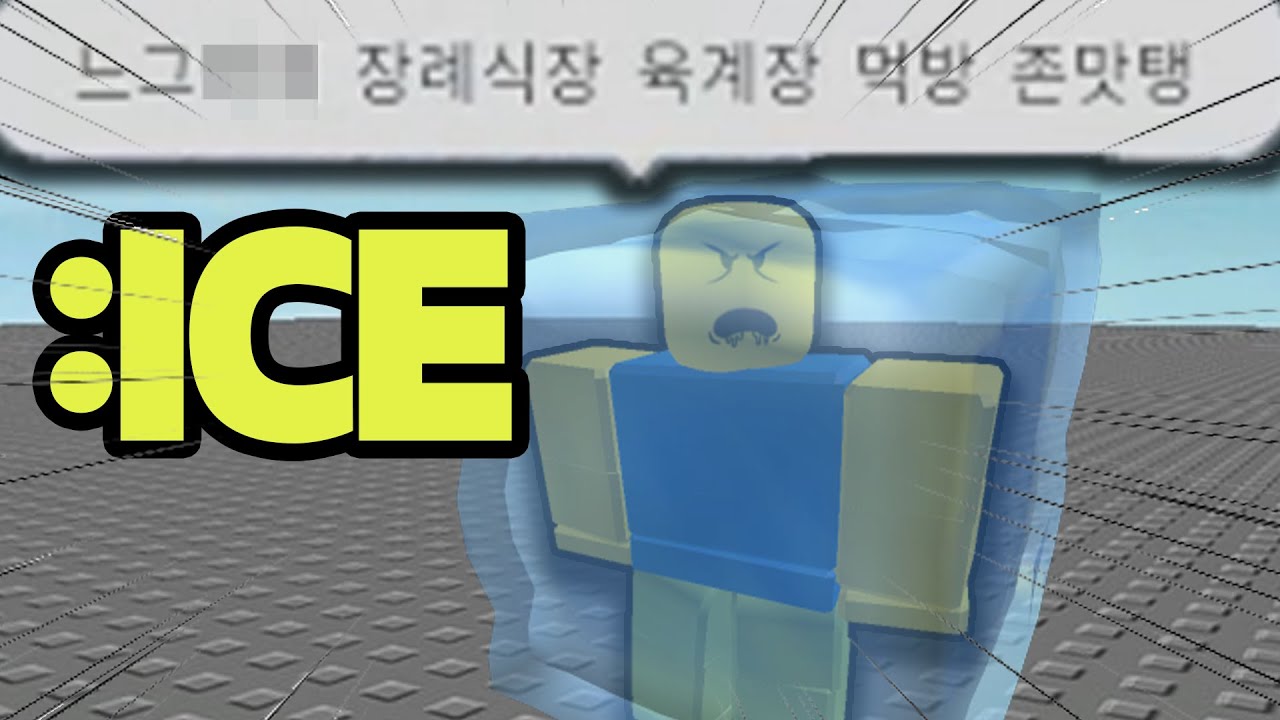 채팅 검열 안당하는 게임에서 사람들 괴롭히면 생기는 일