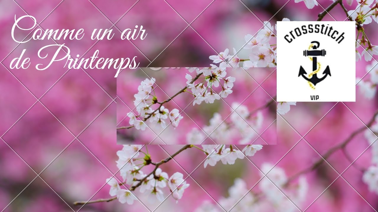 Unboxing 2/3 #vipcrossstitch #pointdecroix #crossstitch #stampedcrossstitch #embroydery 
