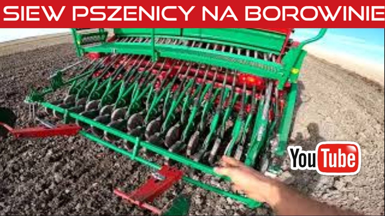 #562 Borowina ciąg dalszy...
