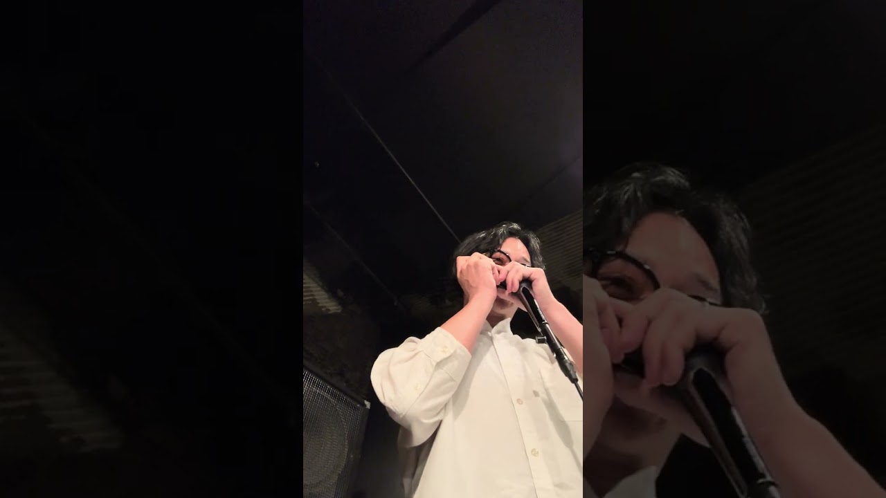 I've never been in love before 坂崎拓也(harmonica)