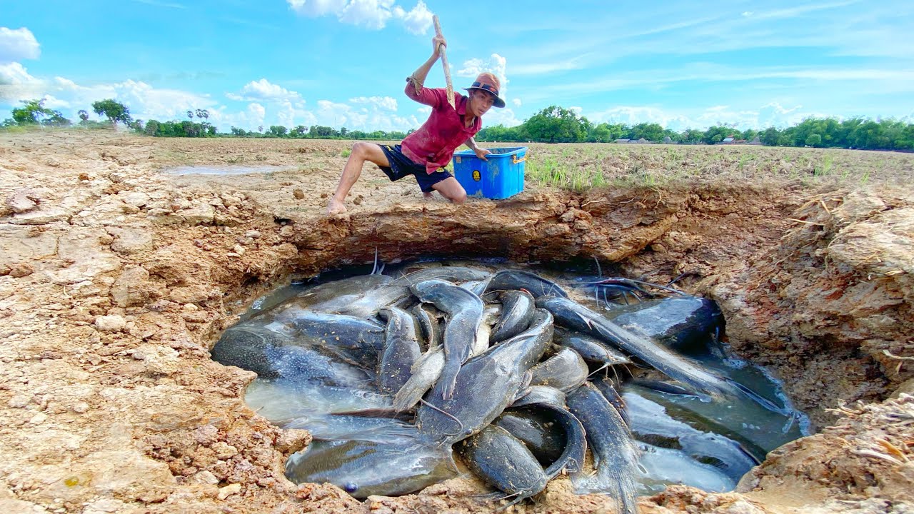 awesome fishing! catch a lots of monster Redfish and catfish in under the ground by hand