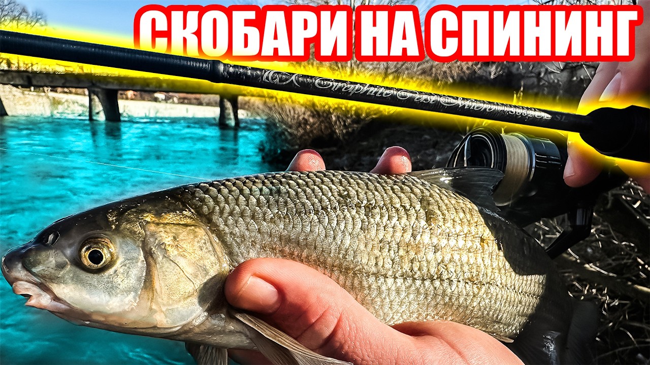 НОВАТА МАНИЯ? Скобари на СПИНИНИГ. Риболов на река Струма.