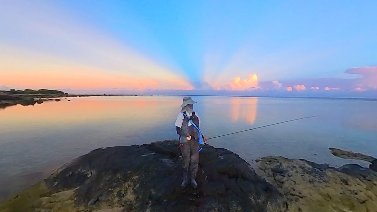 巨大魚が釣れたので朝ごはんにして食べてみた