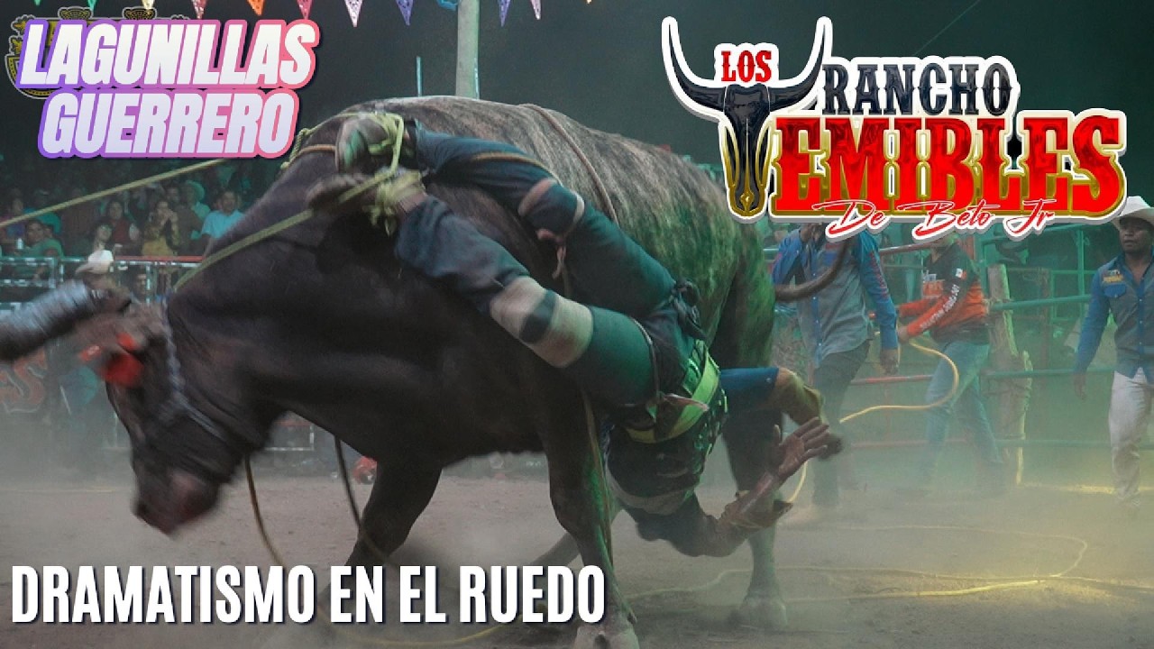 QUE TOROS !!! LOS DE RANCHO LOS TEMIBLES | ASI INICIA LA FERIA EN LAGUNILLAS, GRO.