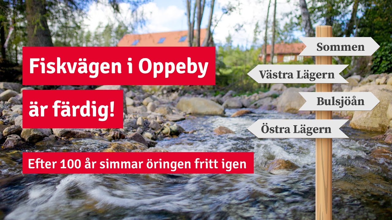 Fiskvägen i Oppeby är klar | 2,5 mil vattenväg är öppen igen efter 100 år!