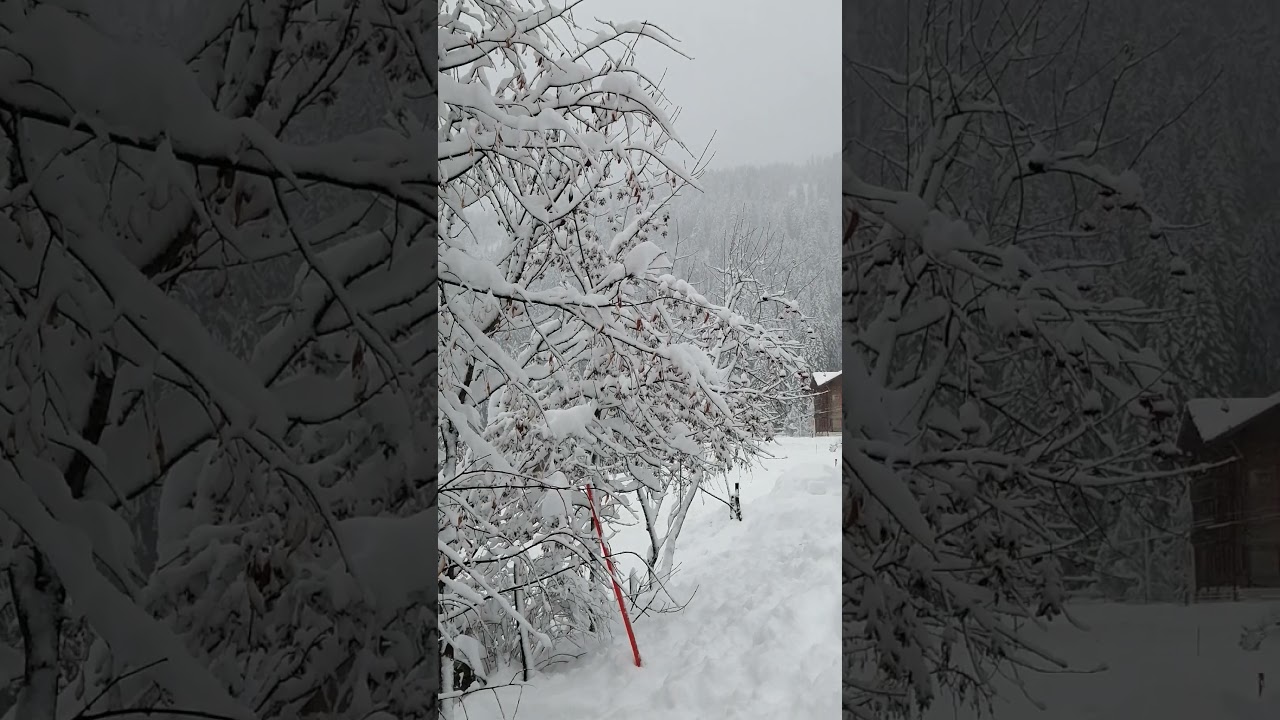 Morgins ❄️magnifique