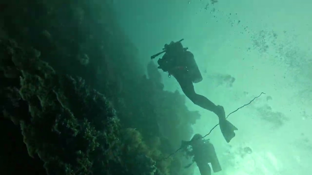30 Minutes of Great Barrier Reef Diving to Fall Asleep To