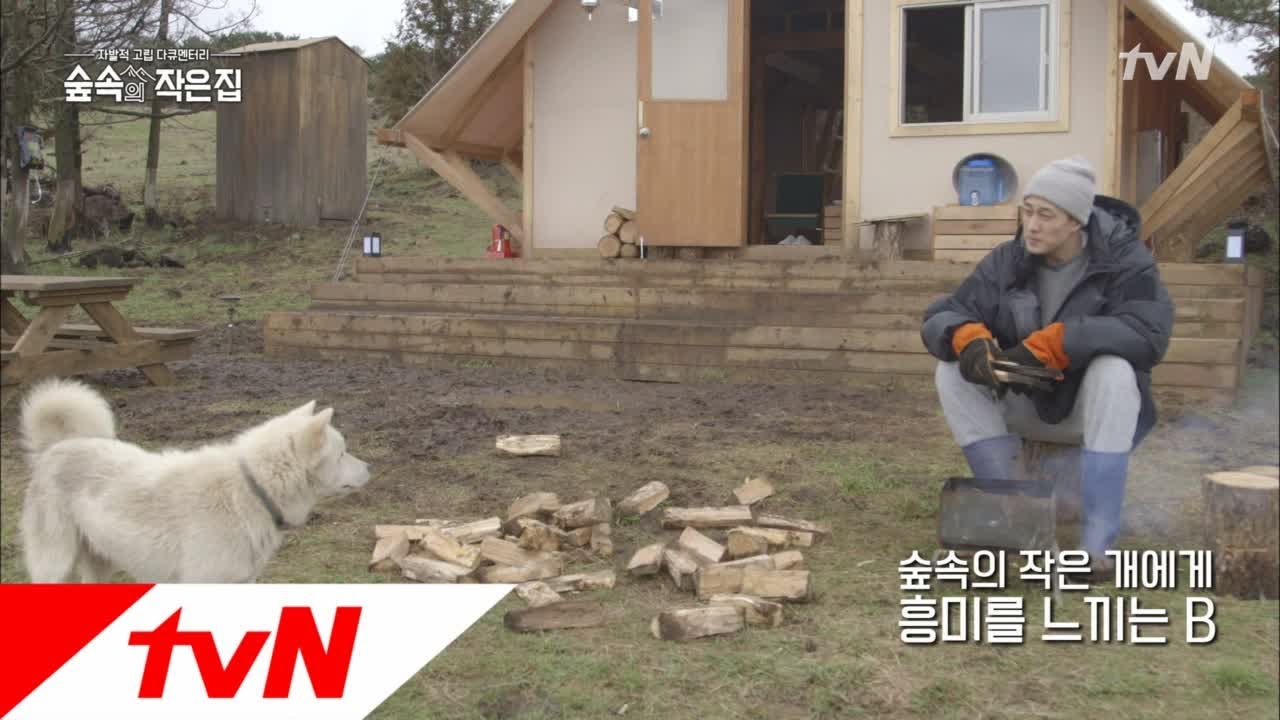 Little House in the Forest 이토록 바람직한 투샷♡ 소지섭&숲속의 작은 개 180420 EP.3