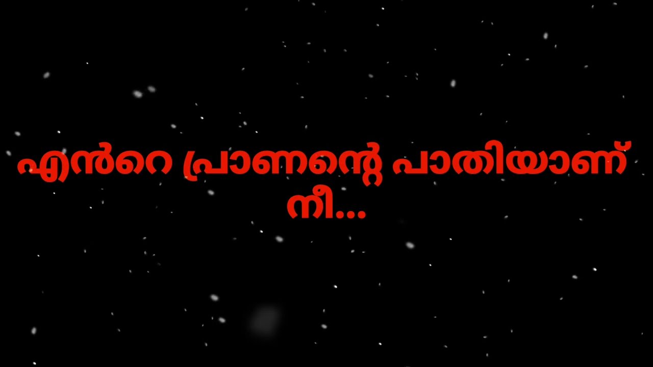 നീ ഒന്നെൻ്റെ അരികിൽ വന്നിരുന്നെങ്കിൽ.... അത്രമേൽ പ്രിയപ്പെട്ടതാണ് നീ...എനിക്ക്....