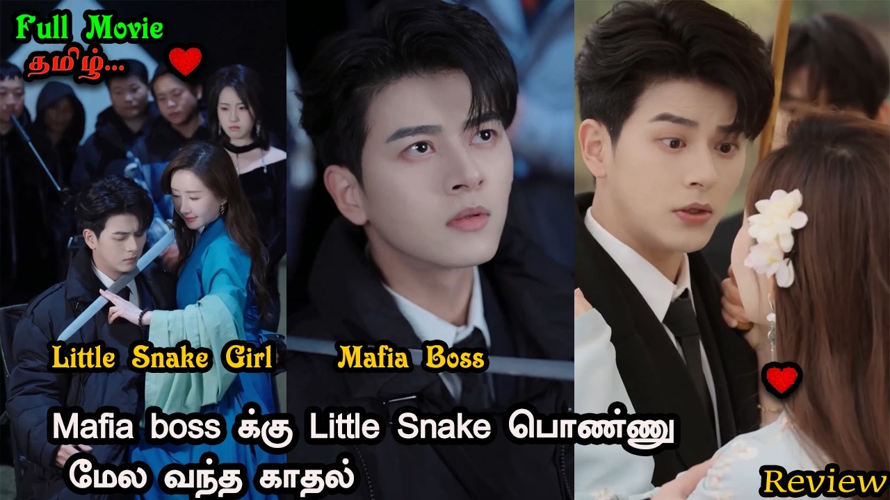 🔥Mafia Boss க்கு Little Snake பொண்ணுமேல love வந்துருச்சி.. Cute comedy love...drama explain in tamil