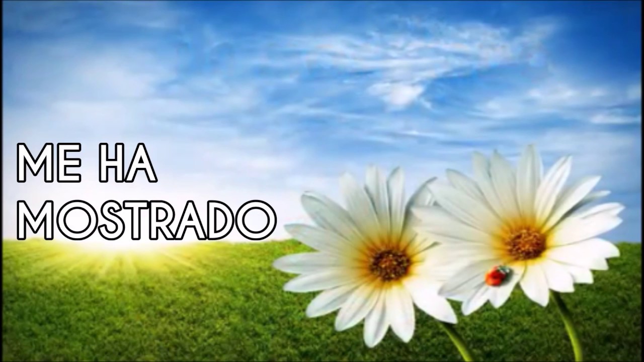 ME HA MOSTRADO PISTA