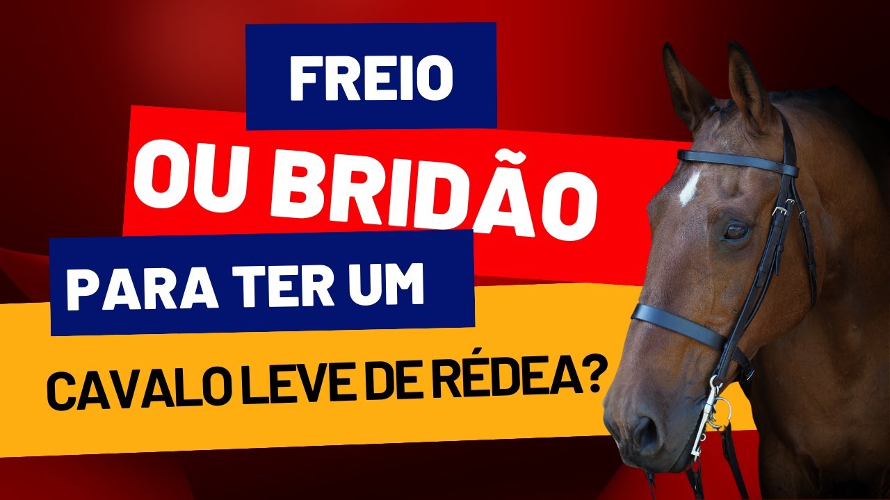 como saber qual o melhor usar no cavalo freio ou brid&atilde;o pra ficar leve de redea