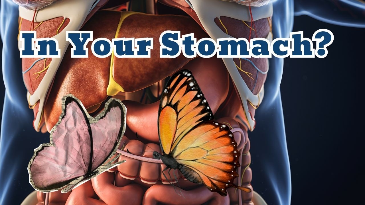 Why Do We Say “Butterflies in Your Stomach”?