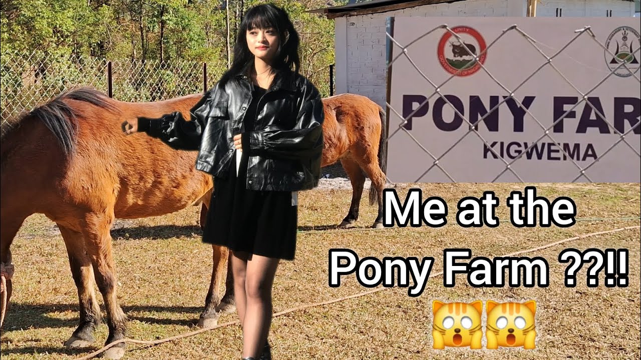 I WENT TO THE PONY FARM !!! 🙀🙀 📍KIGWEMA !  #vlog #travel #ponies #farm #kigwema
