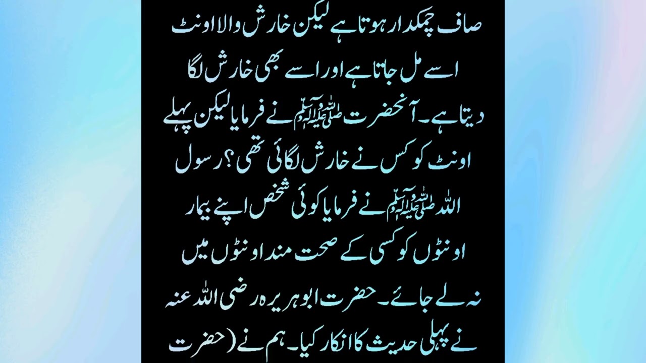Sahih Bukhari hadees no 5754-5777|hadees nabvi in Urdu translation text|bukhari sharif pdf| 