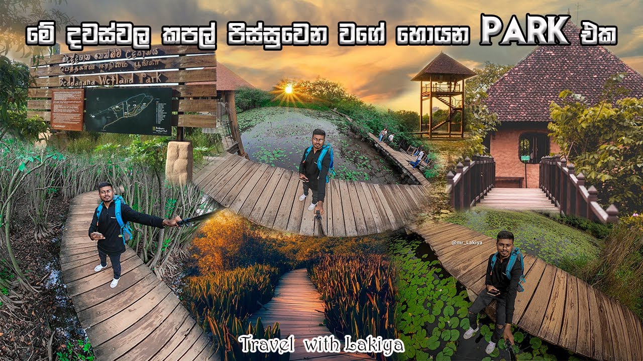 Beddagana wetland park | කොළඹ මැද තියන පෙම්වතුන්ගේ පුංචි පාරාදීසය😱🤩| #solotravel #srilanka #park