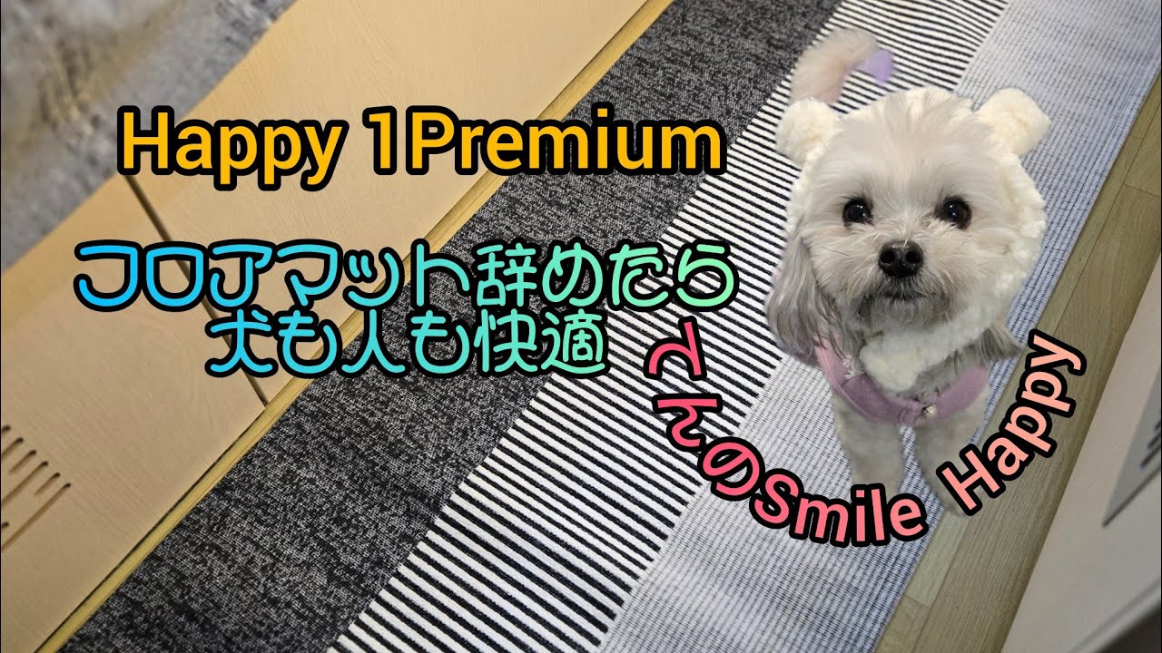 Happy 1Premium  フロアマット辞めた！！