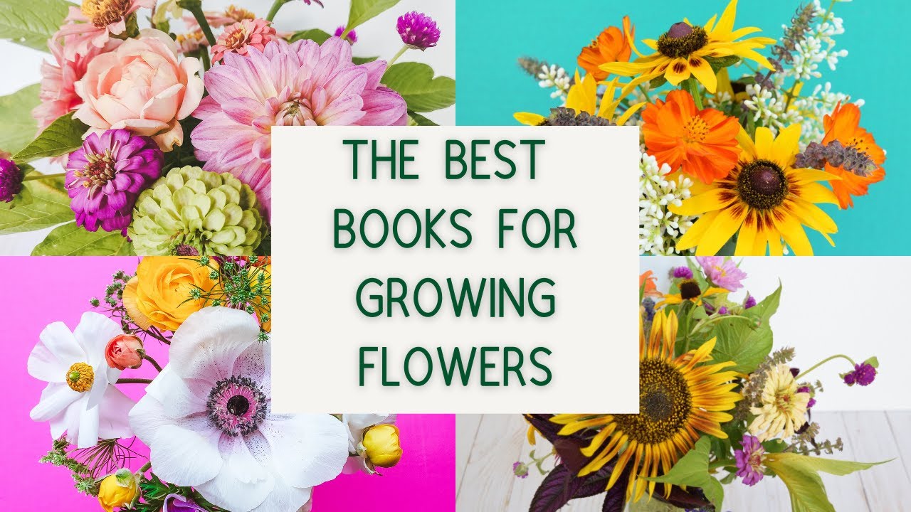 The Best Books for Growing Flowers