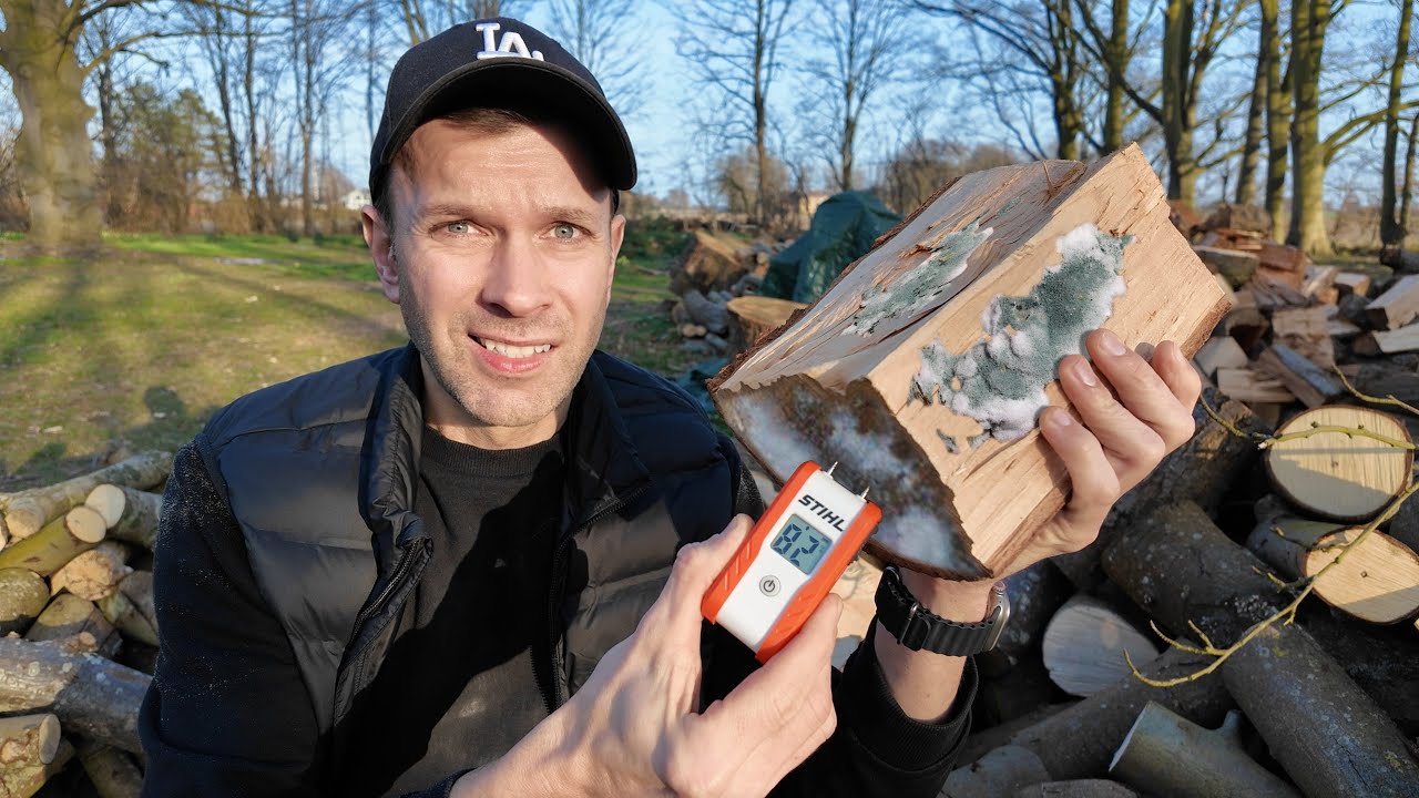Er alt mit brænde råddent..? (STIHL fugtmåler)