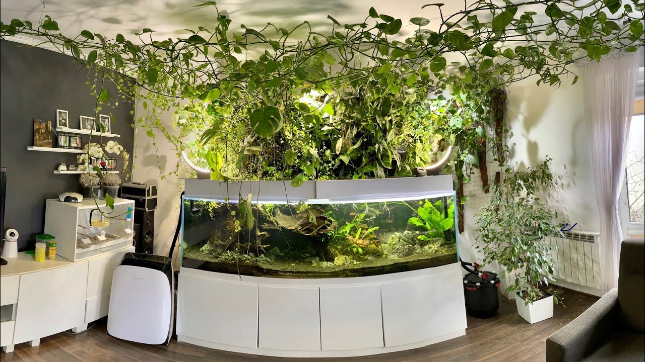 Akwarium 720 litr&oacute;w z ogrodem wertykalnym VersaGarden