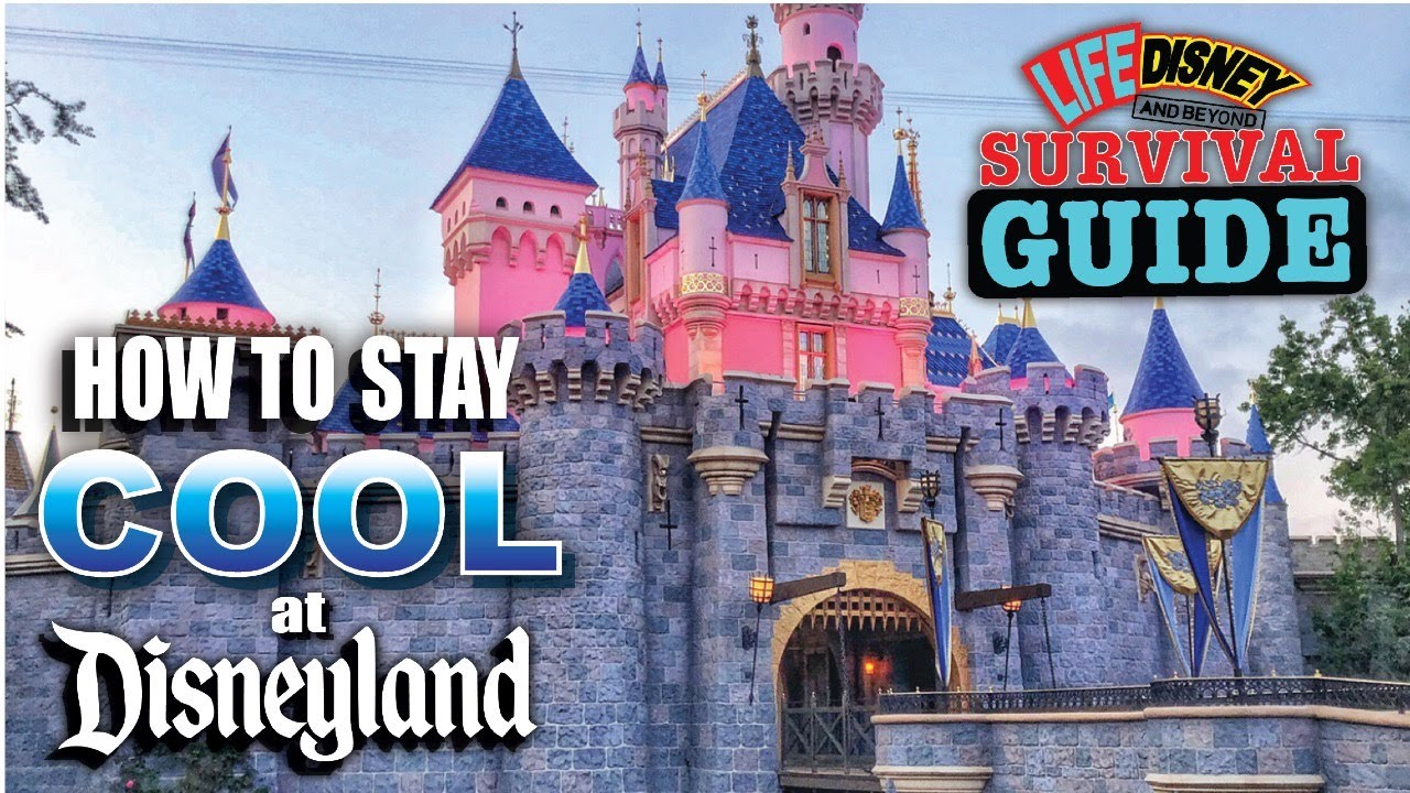 Some of Our Favorite Tips & Tricks to Beat the Heat at Disneyland This Summer! Food, Rides & More