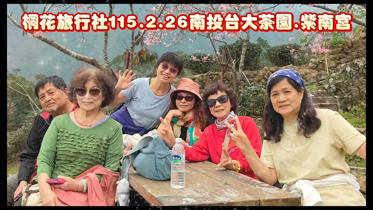 桐花旅行社115.2.26南投台大茶園