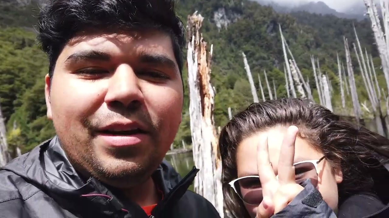 ¿Cómo ir al Parque Tagua Tagua? 🥾⛰️ - Carretera Austral #8