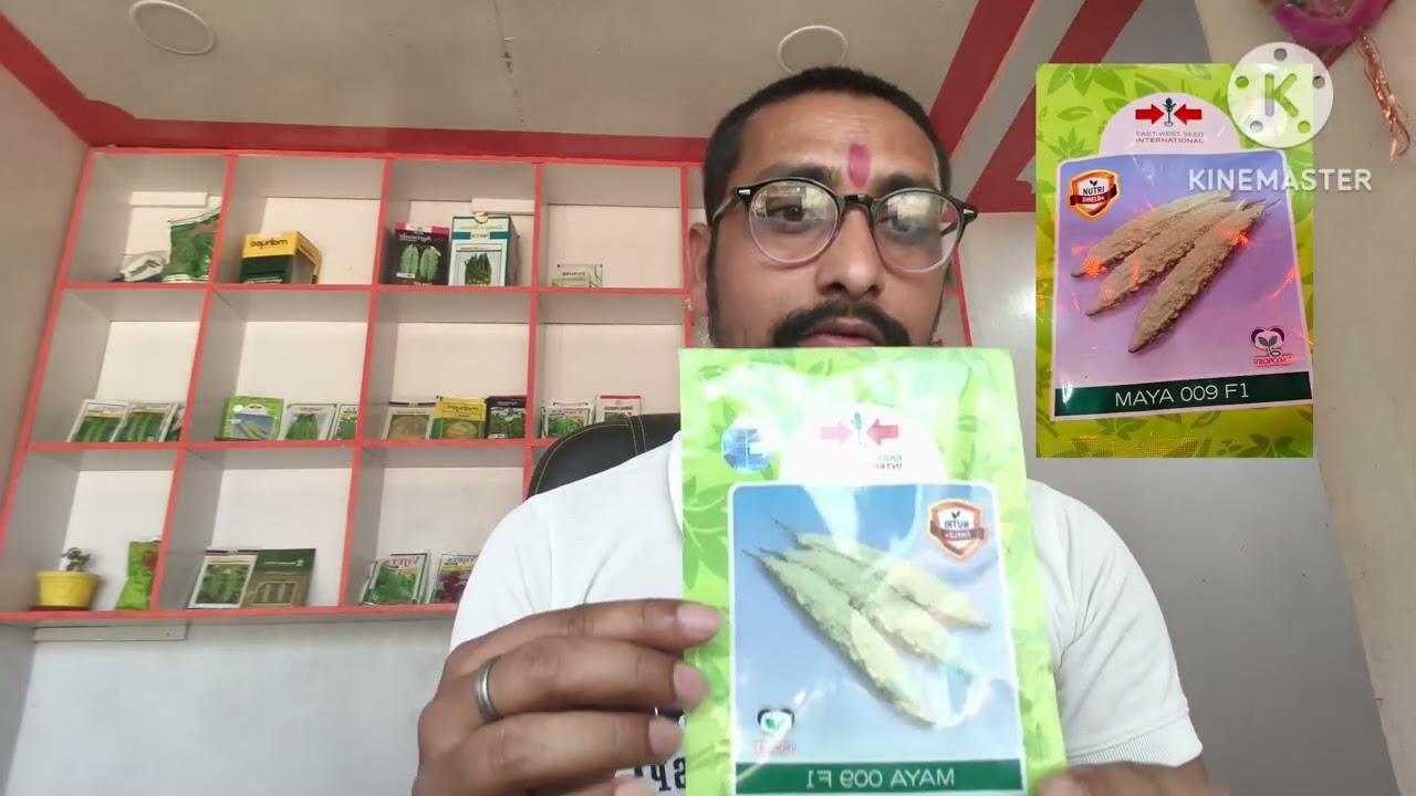Safed Karela Ki Kheti Safed Karela Ki Bharti Maya 009 F1 