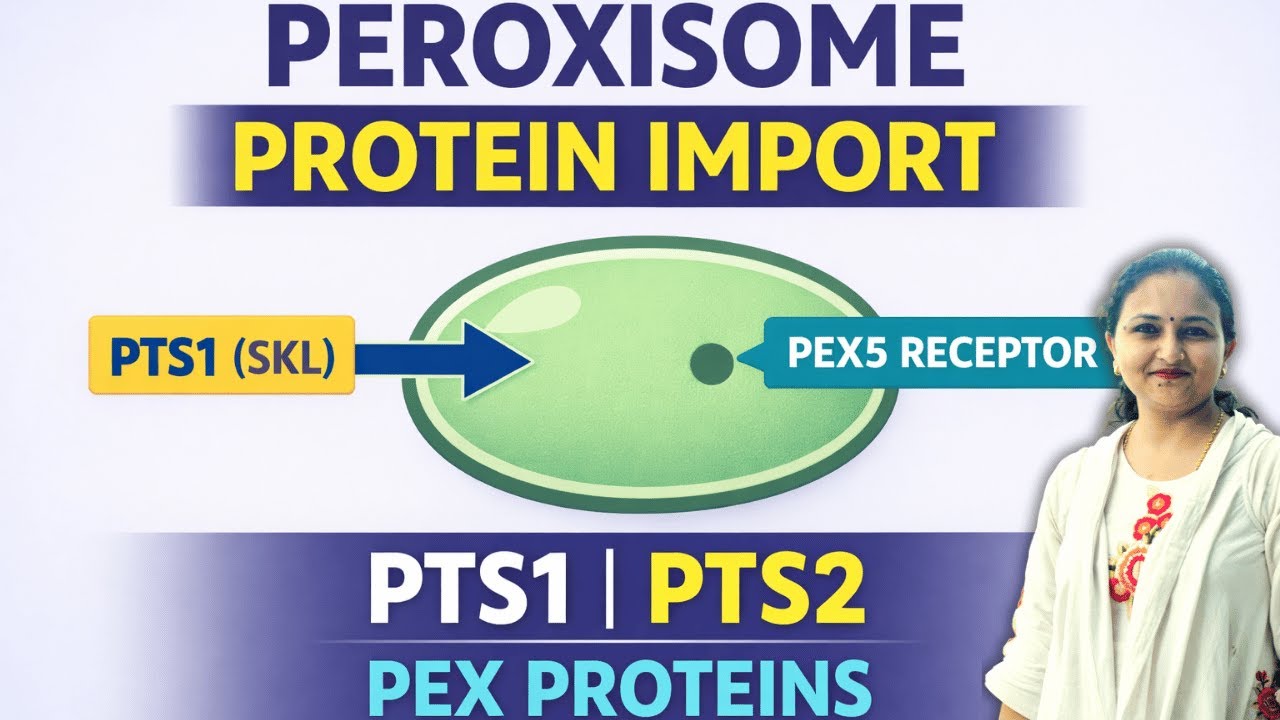 How Proteins Enter Peroxisomes? | PTS Signal | CSIR NET Cell Biology